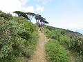 LIGURIAMTB13 (319)